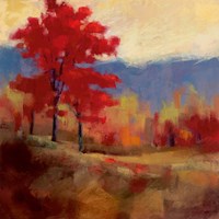 Framed Fall Splendor I