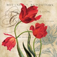 Framed Botanist's Repository