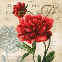 Framed Botanist Magazine
