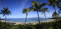 Framed Palm trees on the beach, Maui, Hawaii, USA