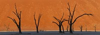 Framed Dead trees by red sand dunes, Dead Vlei, Namib-Naukluft National Park, Namibia