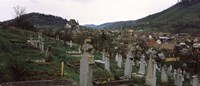 Framed Tombstones in a cemetery, Saxon Church, Biertan, Sibiu County, Transylvania, Romania