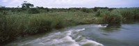 Framed River flowing through a forest, Sabie River, Kruger National Park, South Africa