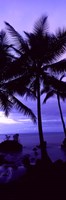 Framed Palm trees on the coast, Colombia (purple)