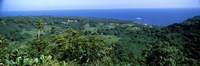 Framed High angle view of landscape with ocean in the background, Wailua, Hana Highway, Hana, Maui, Hawaii, USA