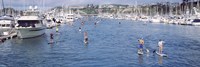 Framed Paddleboarders and yachts, Dana Point, California