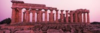 Framed Ruins of a temple, Temple E, Selinunte, Trapani Province, Sicily, Italy