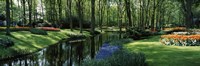 Framed Flower beds and trees in Keukenhof Gardens, Lisse, Netherlands