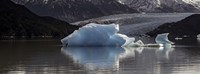 Framed Iceberg in a lake, Gray Glacier, Torres del Paine National Park, Magallanes Region, Patagonia, Chile, Lake