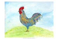Framed Meadow Rooster