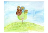 Framed Owl Family