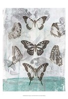 Framed Butterflies & Filigree I