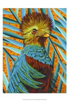 Framed Bird in the Tropics I
