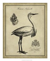 Framed Antiquarian Egret