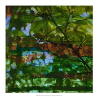 Framed Abstract Leaf Study IV