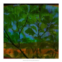 Framed Abstract Leaf Study V