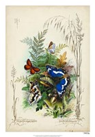 Framed Victorian Butterfly Garden III