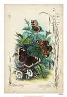 Framed Victorian Butterfly Garden IV