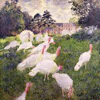 Framed Turkeys at the Chateau de Rottembourg, Montgeron, 1877