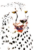 Framed Close-up of a Cheetah