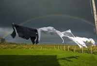 Framed Rainbow, Stormy Sky and Clothes Line, Bunmahon, County Waterford, Ireland