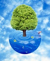 Framed Lush green tree growing from half sphere of blue water and ripples floating in cloudy blue sky