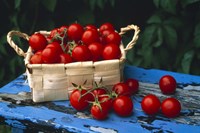 Framed Still life of cherry tomatoes in a rectangular woven basket sitting on distressed blue painted table top