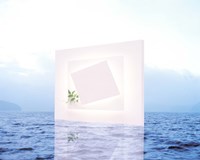 Framed White frame with small vine floating on blue water with reflection