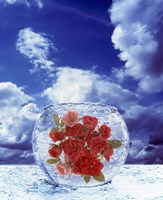 Framed Crystal round vase filled with ice and red roses resting on seashore with blue sky and white clouds