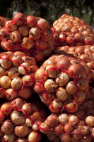 Framed Close-up of sack of onions, Seclantas, Calchaqui Valleys, Salta Province, Argentina