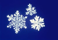 Framed Snowflakes