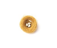 Framed Three Eggs in Nest Illustrated On White Background