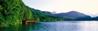 Framed Alp Lake Hohenschwangau Germany
