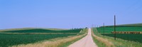 Framed Road along fields, Minnesota, USA