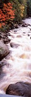 Framed River flowing through a forest, Ausable River, Adirondack Mountains, Wilmington, New York State (vertical)
