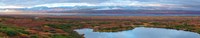 Framed Tundra landscape, Denali National Park, Alaska, USA