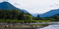 Framed Trees in front of mountains in Quinault Rainforest, Olympic National Park, Washington State, USA