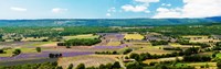 Framed Aerial view of fields, Provence-Alpes-Cote d'Azur, France