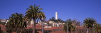 Framed Palm trees with Coit Tower in background, San Francisco, California, USA
