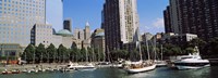 Framed Boats at North Cove Yacht Harbor, New York City (horizontal)