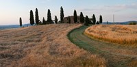 Framed Road leading towards a farmhouse, Val d'Orcia, Tuscany, Italy