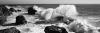 Framed Waves breaking on the coast, Santa Cruz, California (black and white)