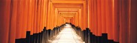 Framed Fushima-Inari Kyoto Japan