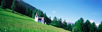 Framed Green Slopes, Engadin Switzerland