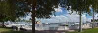 Framed Twin Dolphin Marina, Manatee River, Bradenton, Manatee County, Florida