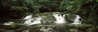 Framed Dingmans Creek flowing through a forest, Dingmans Falls Area, Delaware Water Gap National Recreation Area, Pennsylvania, USA