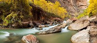 Framed Cottonwood trees and rocks along Virgin River, Zion National Park, Springdale, Utah, USA