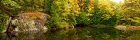 Framed Colorful trees and rocks along the Musquash River, Muskoka, Ontario, Canada