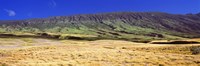 Framed Landscape with Haleakala Volcanic Crater, Maui, Hawaii, USA