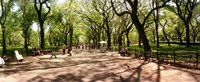Framed Central Park, New York City, New York State